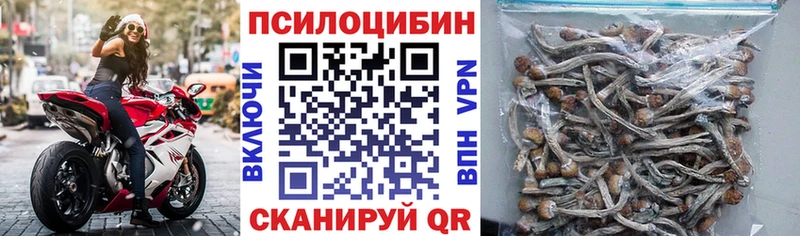 Псилоцибиновые грибы Psilocybine cubensis  наркота  Новоаннинский 